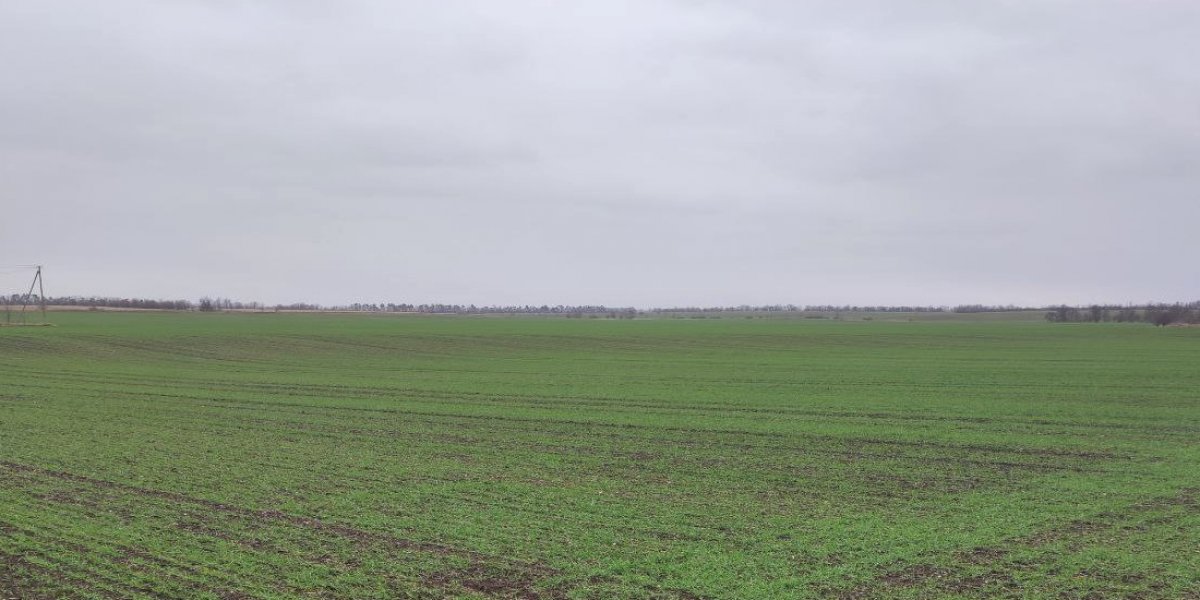 <p>ОЦЕНКА ГРАНУЛОМЕТРИЧЕСКОГО И АГРЕГАТНОГО СОСТАВА ТЕМНО-КАШТАНОВОЙ ПОЧВЫ, ОРОШАЕМОЙ ОГРАНИЧЕННО ПРИГОДНЫМИ ВОДАМИ</p>