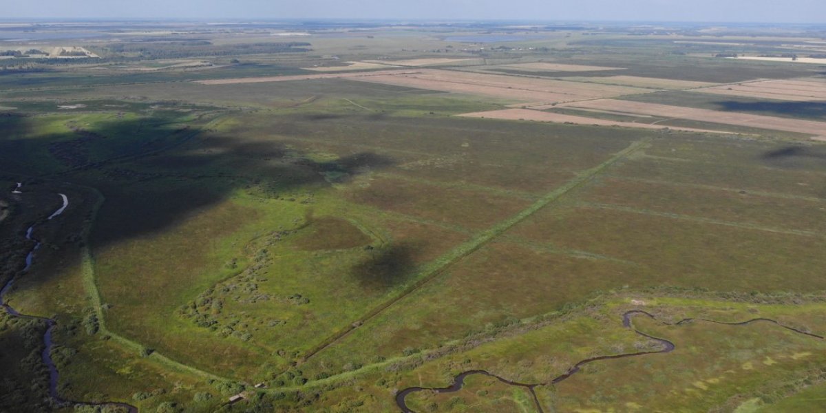 <p>СОВРЕМЕННОЕ СОСТОЯНИЕ ПОЧВЕННО-РАСТИТЕЛЬНОГО ПОКРОВА ЛИМАНА СЕВЕРНОЙ ЧАСТИ БАРАБИНСКОЙ НИЗМЕННОСТИ</p>