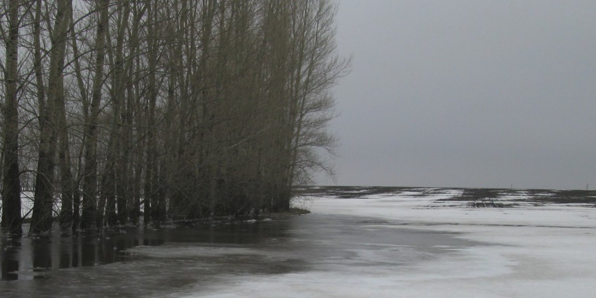 <p>ПРОТИВОЭРОЗИОННАЯ ЭФФЕКТИВНОСТЬ АГРОЛЕСОЛАНДШАФТНОГО КОМПЛЕКСА НА СКЛОНАХ В УСЛОВИЯХ МЕНЯЮЩЕГОСЯ КЛИМАТА</p>