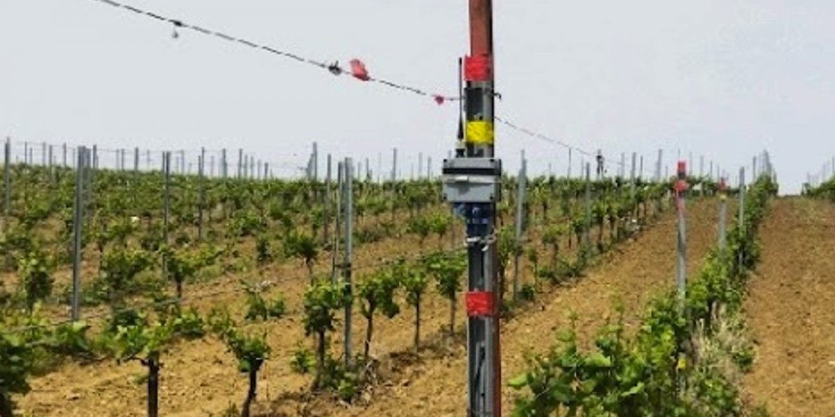 <p>МЕТОДИКА АВТОМАТИЗИРОВАННОЙ ОЦЕНКИ ВОДНОЙ ЭРОЗИИ ПОЧВЫ НА ВИНОГРАДНИКАХ С ПРИМЕНЕНИЕМ СПЕКТРАЛЬНЫХ ИНДЕКСОВ СПУТНИКОВЫХ СНИМКОВ</p>