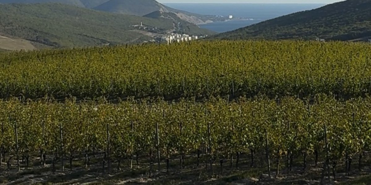 <p>МАТЕМАТИЧЕСКИЙ АНАЛИЗ ВЛИЯНИЯ ВЛАЖНОСТИ ГРУНТОВОГО МАССИВА НА ДИНАМИКУ ИЗМЕНЕНИЙ ГОРИЗОНТАЛЬНЫХ ПЕРЕМЕЩЕНИЙ ГРЕБНЯ ОПОЛЗНЯ</p>