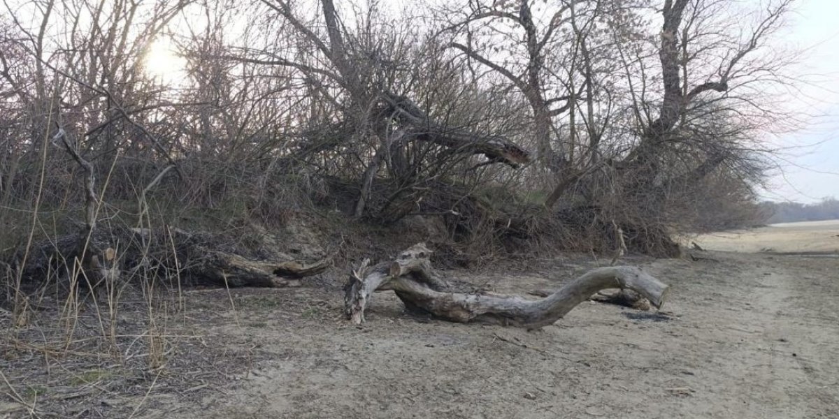 <p>ПРИМЕНЕНИЕ ГЕОТОМОГРАФИЧЕСКОГО СКАНИРОВАНИЯ ПРИ ПРОВЕДЕНИИ МОНИТОРИНГА ТЕХНИЧЕСКОГО СОСТОЯНИЯ ИНЖЕНЕРНОЙ ЗАЩИТЫ НИЖНЕЙ КУБАНИ</p>