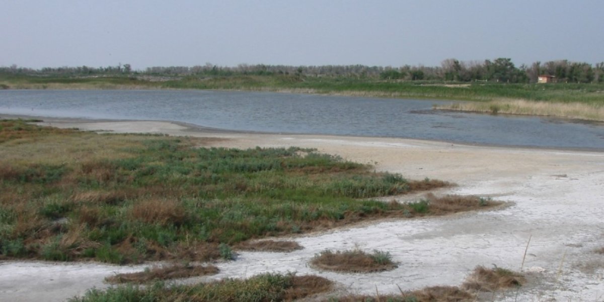 <p>ОЦЕНКА ДИСБАЛАНСА ГЕОИРРИГАЦИОННОЙ ОБСТАНОВКИ ЗЕМЛЕПОЛЬЗОВАНИЯ НА МЕЛИОРАТИВНЫХ СИСТЕМАХ ЗАПАДНОЙ СИБИРИ</p>