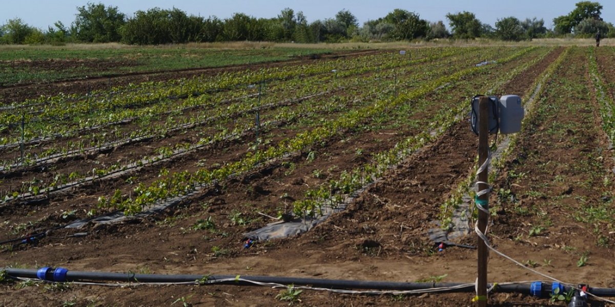 <p>ТЕОРЕТИЧЕСКОЕ ОБОСНОВАНИЕ СПОСОБА КОМПЕНСАЦИИ ВОЗВРАТНЫХ ЗАМОРОЗКОВ НА МЕЛИОРИРОВАННЫХ ЗЕМЛЯХ</p>