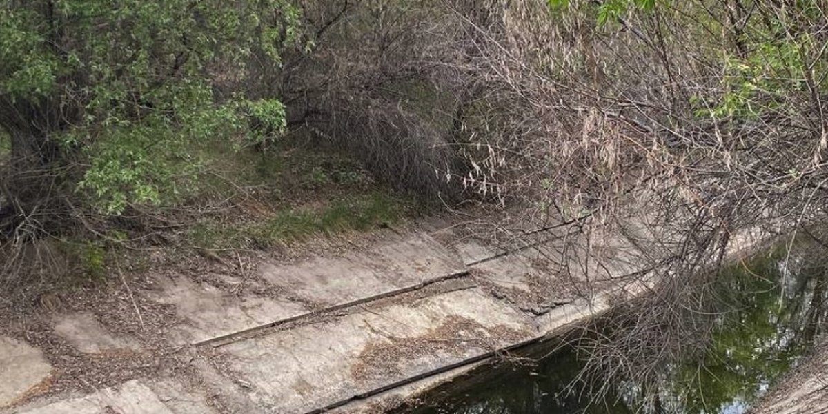 <p>ПОЛЕВЫЕ ИССЛЕДОВАНИЯ ПО ЗАРАСТАНИЮ ДРЕВЕСНО-КУСТАРНИКОВОЙ РАСТИТЕЛЬНОСТЬЮ ОРОСИТЕЛЬНЫХ КАНАЛОВ САРАТОВСКОЙ ОБЛАСТИ</p>