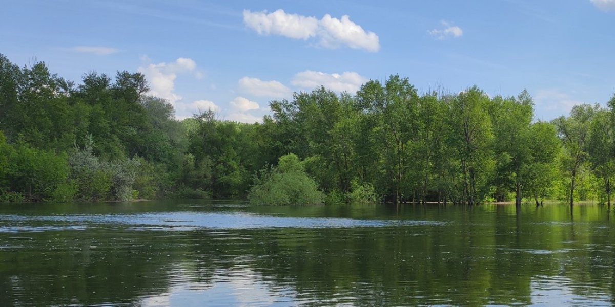 <p>ИССЛЕДОВАНИЕ СОВРЕМЕННОГО ГИДРОЛОГИЧЕСКОГО РЕЖИМА СЕВЕРНОЙ ЧАСТИ ВОЛГО-АХТУБИНСКОЙ ПОЙМЫ</p>