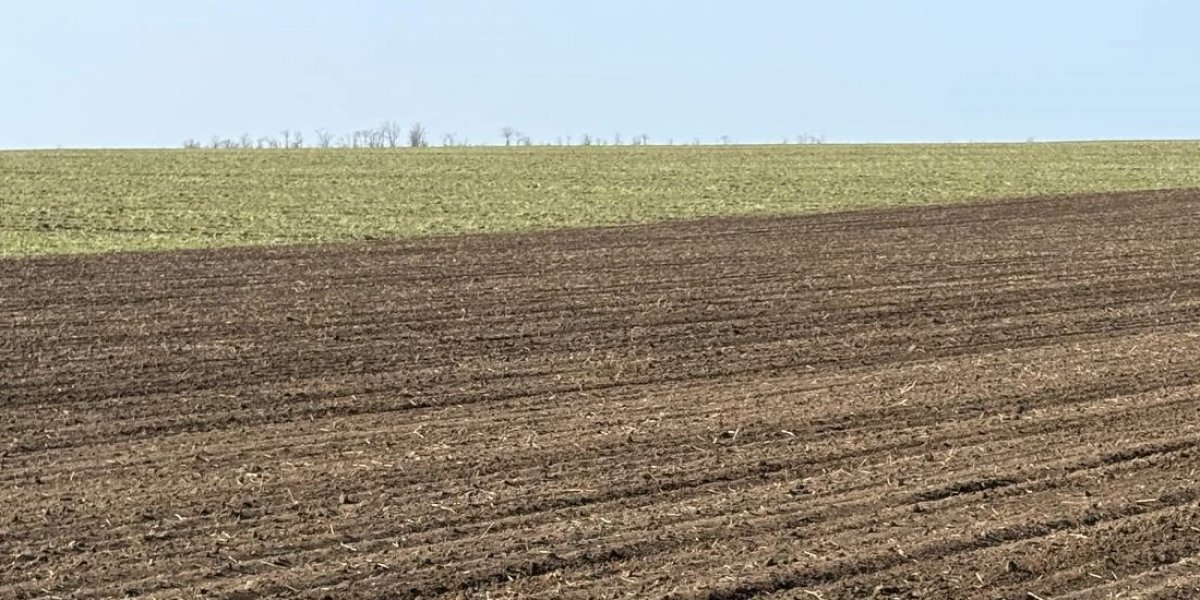 <p>ОСОБЕННОСТИ ПРОЯВЛЕНИЯ ЭРОЗИОННЫХ ПРОЦЕССОВ В ЗАВИСИМОСТИ ОТ ЛАНДШАФТА ТЕРРИТОРИИ (НА ПРИМЕРЕ ЗАПОРОЖСКОЙ ОБЛАСТИ)</p>