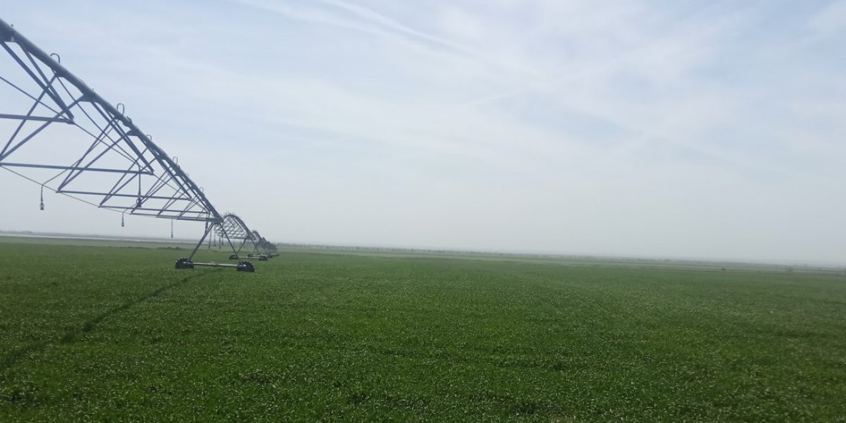 <p>УНИФИЦИРОВАННАЯ МОДЕЛЬ ОПРЕДЕЛЕНИЯ УРОЖАЙНОСТИ ПРИ ИЗМЕНЕНИИ ДЕФИЦИТА ВОДОПОТРЕБЛЕНИЯ РАЗЛИЧНЫХ СЕЛЬСКОХОЗЯЙСТВЕННЫХ КУЛЬТУР ДЛЯ УСЛОВИЙ АРИДНОЙ ЗОНЫ ЮГА РОССИИ</p>