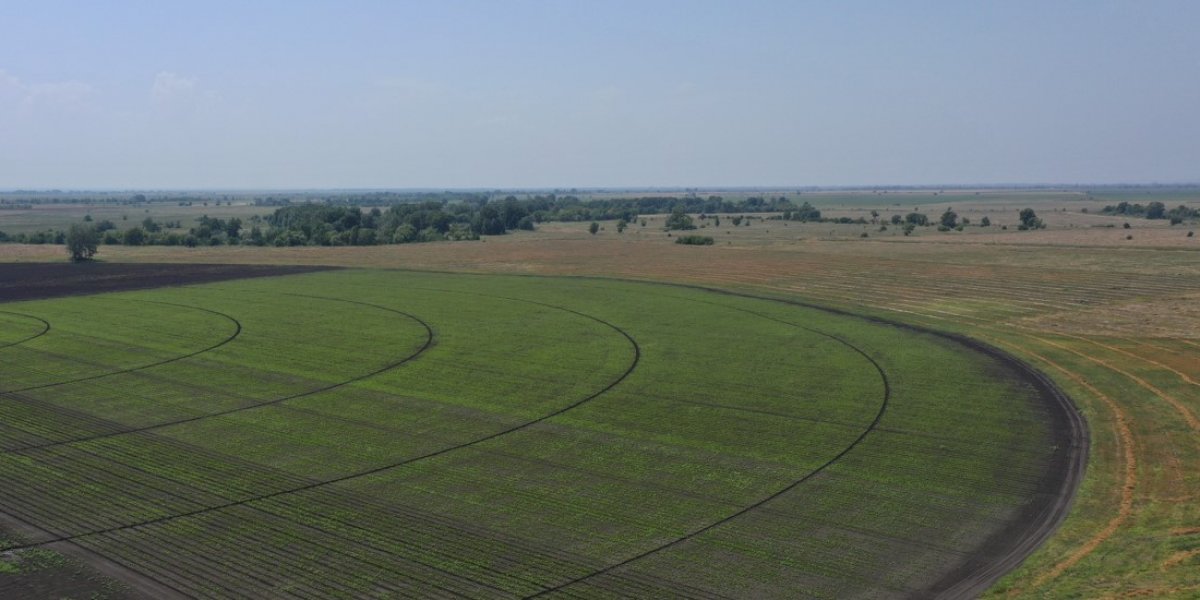 <p>ОЦЕНКА ЭВАПОТРАНСПИРАЦИИ ПО МОДЕЛИ PT-JPL С ДАННЫМИ РЕАНАЛИЗА ERA5-LAND</p>
