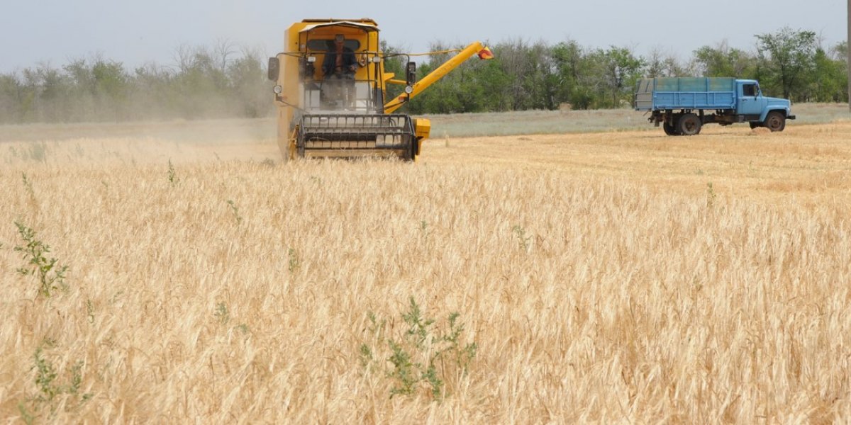 <p>ПРОДУКТИВНОСТЬ ЯРОВОГО ЯЧМЕНЯ В ЗАВИСИМОСТИ ОТ РЕЖИМА ОРОШЕНИЯ И УРОВНЯ МИНЕРАЛЬНОГО ПИТАНИЯ В ЗАСУШЛИВЫХ УСЛОВИЯХ АСТРАХАНСКОЙ ОБЛАСТИ</p>